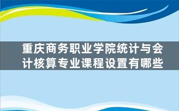 重庆商务职业学院统计与会计核算专业课程设置有哪些