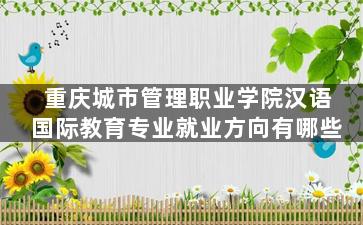 重庆城市管理职业学院汉语国际教育专业就业方向有哪些