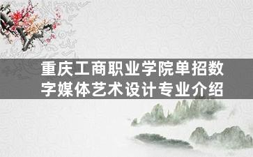 重庆工商职业学院单招数字媒体艺术设计专业介绍