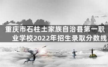 重庆市石柱土家族自治县第一职业学校2022年招生录取分数线