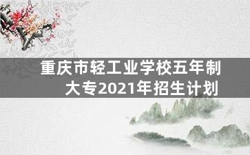 重庆市轻工业学校五年制大专2021年招生计划