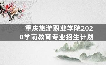 重庆旅游职业学院2020学前教育专业招生计划