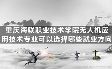 重庆海联职业技术学院无人机应用技术专业可以选择哪些就业方向