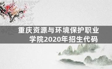 重庆资源与环境保护职业学院2020年招生代码