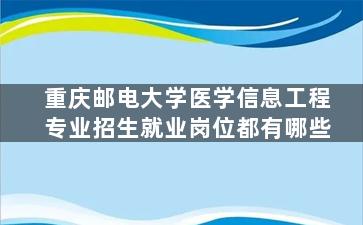 重庆邮电大学医学信息工程专业招生就业岗位都有哪些